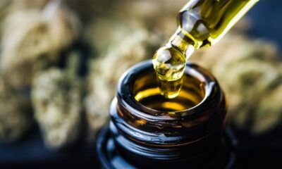 cbd anticonvulsivo