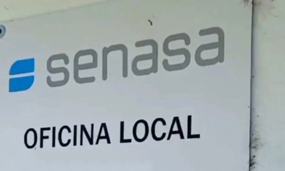 senasa oficinas