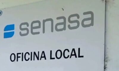 senasa oficinas