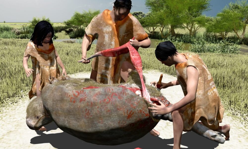 humanos américa