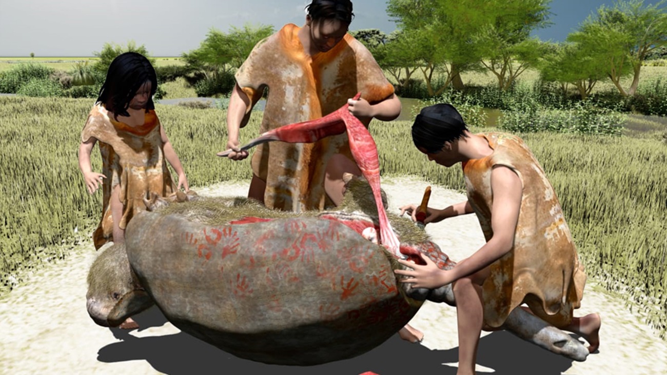 humanos américa