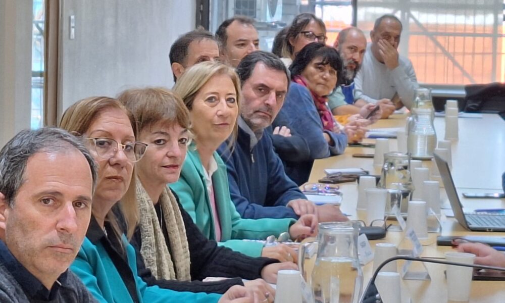 paritaria docente