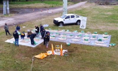 marihuana secuestrada unlp