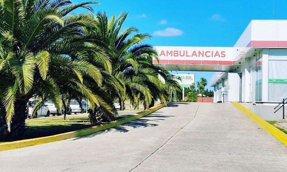 UPA Lezama