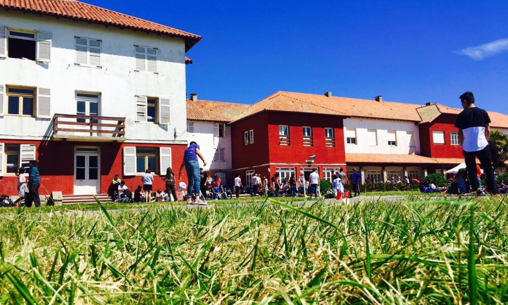 scioli hoteles chapadmalal