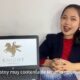 china Rainbowex