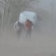viento alerta