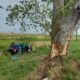 accidente ruta 11