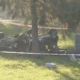 accidente panamericana