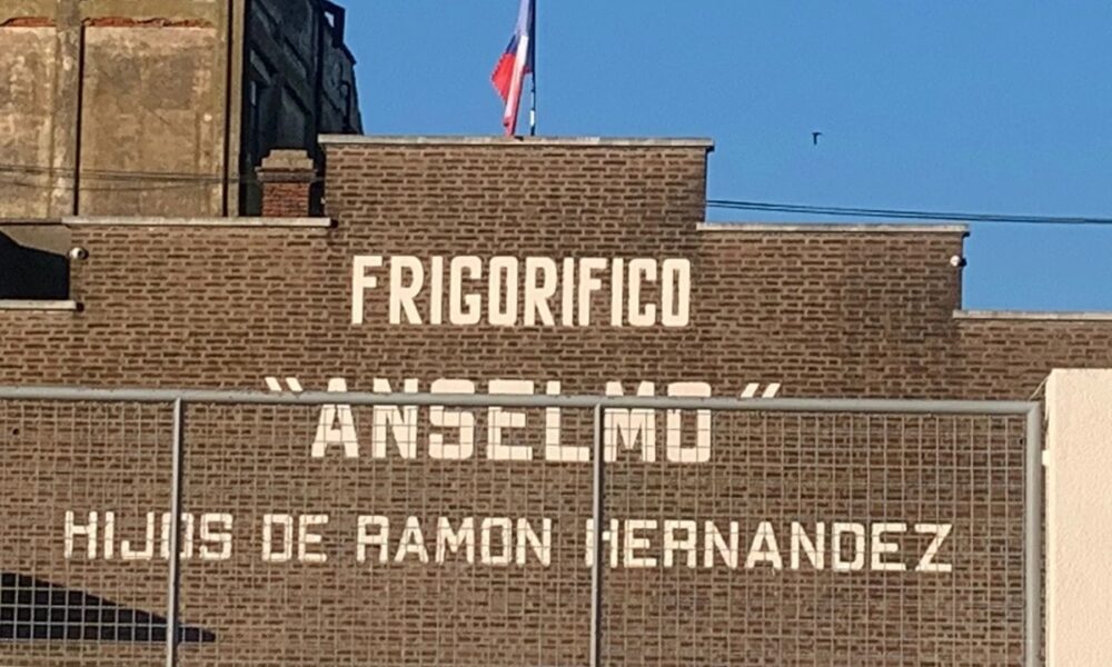 frigorífico anselmo