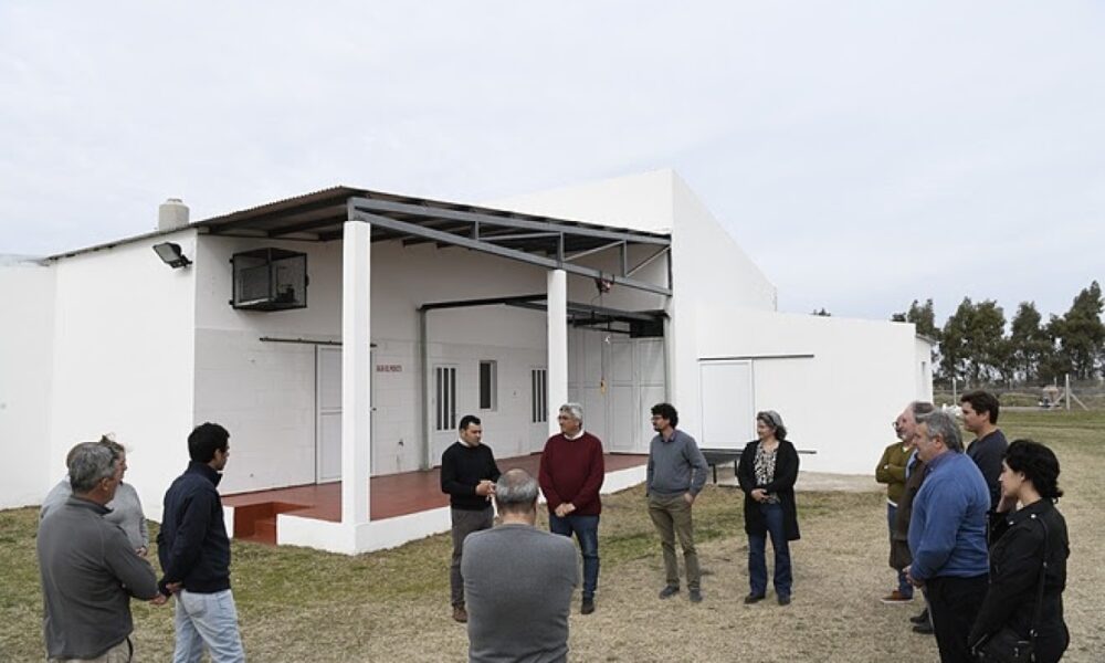 frigorífico municipal guaminí
