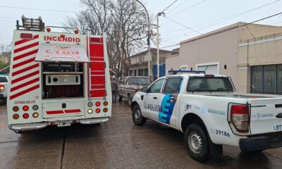 patrullero policial y camión de bomberos