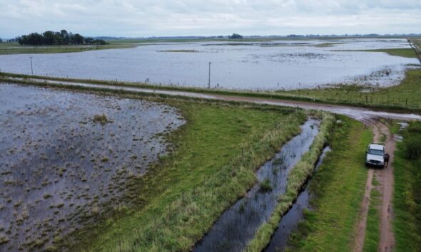 campo inundado