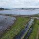 campo inundado