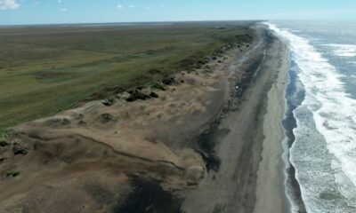 paleocosta bonaerense