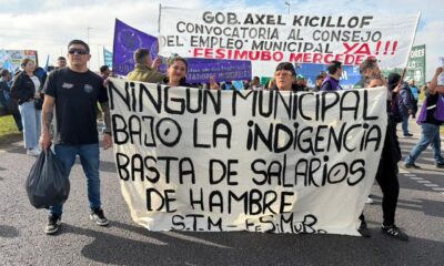 Consejo del Empleo Municipal