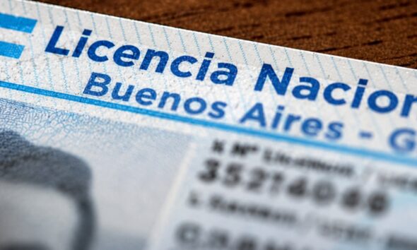 licencia de conducir profesional