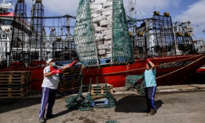 pesca calamar mar del plata