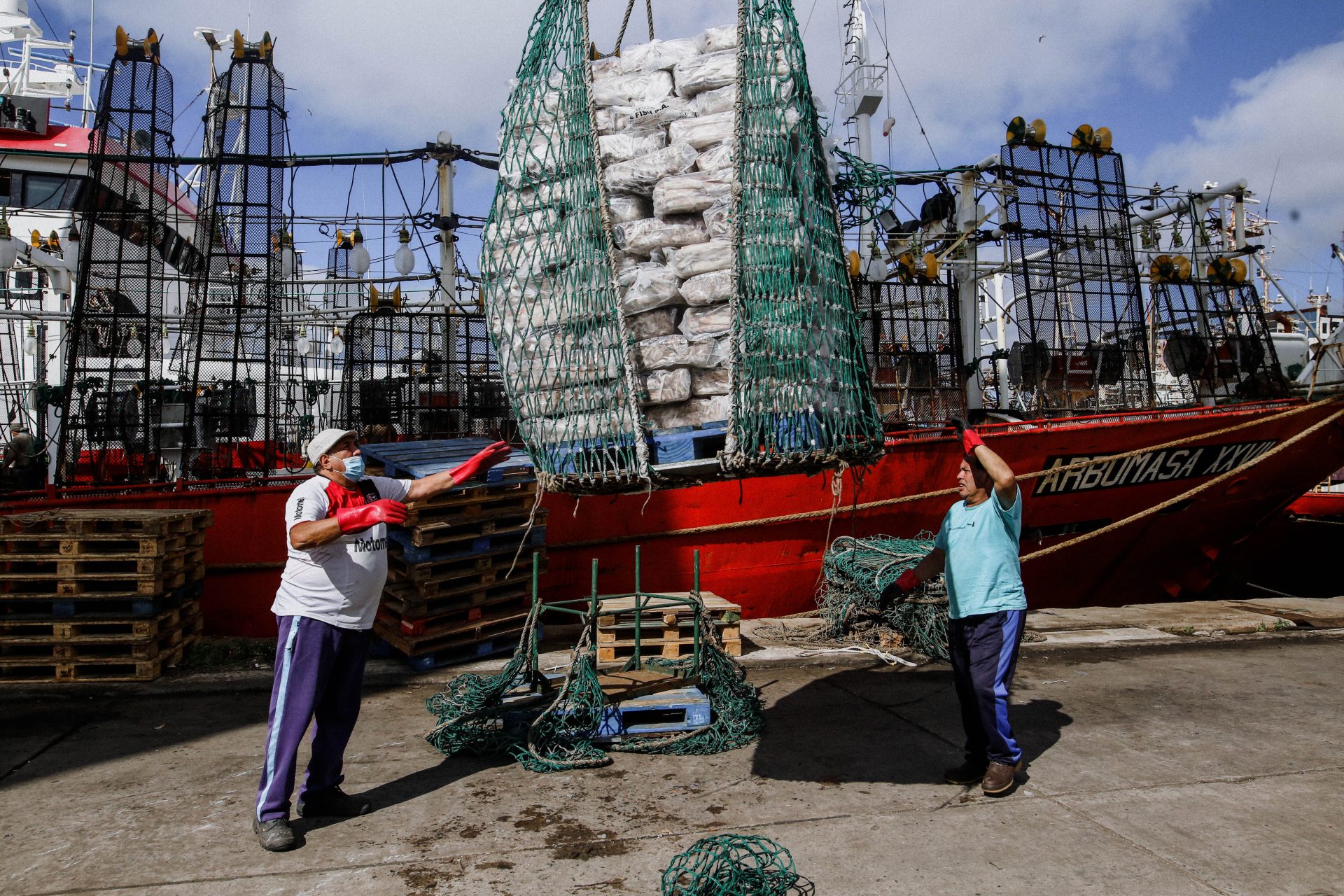 pesca calamar mar del plata